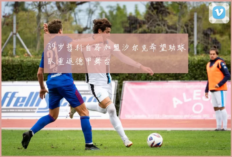 39岁哲科自荐加盟沙尔克希望助球队重返德甲舞台